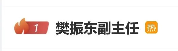 樊振东最新回应