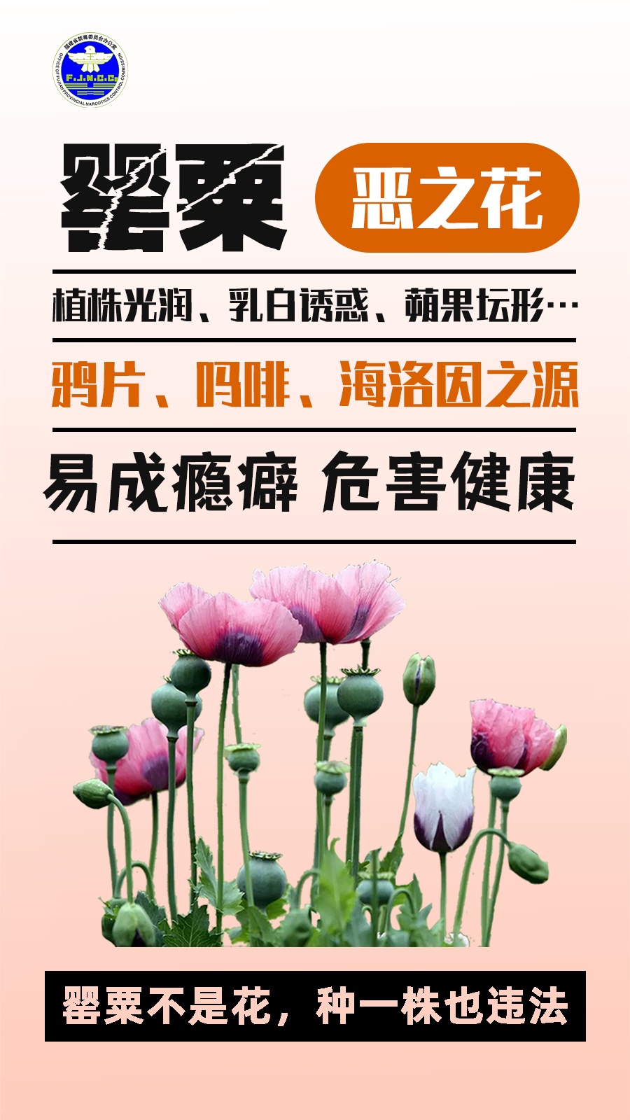 警惕“毒”物!记住这些防毒关键词 警惕“毒”物!记住这些防毒关键词