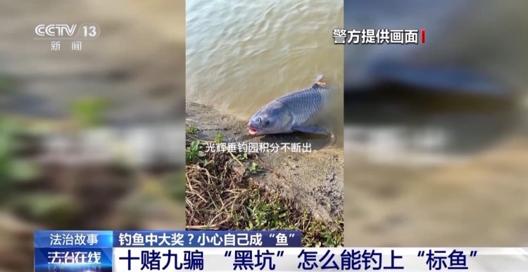 法治在线丨什么钓场入场费要数千元？揭开“钓鱼赢豪车”背后的套路