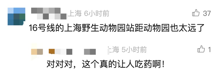 上海这座地铁站被建议更名？官方回应来了