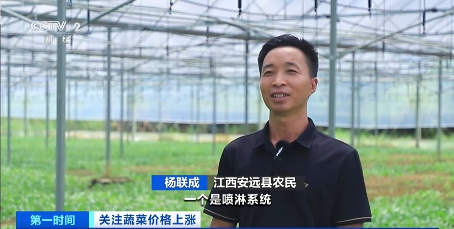 全国多地蔬菜价格持续上扬，黄瓜批发价涨超40%！还会再涨吗？