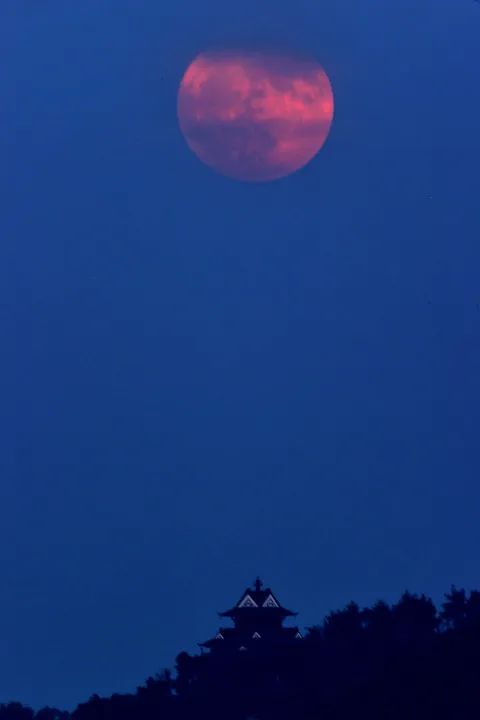 昨晚没看到“超级月亮”?这里有!来看美图 昨晚没看到“超级月亮”?这里有!来看美图