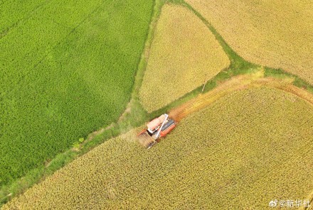 2024中国丰收图景 2024中国丰收图景