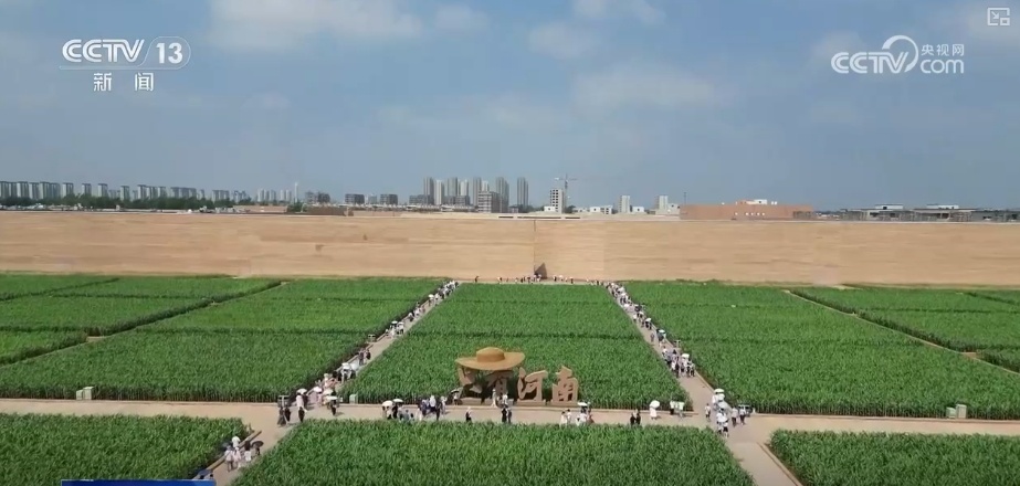 何以中国&middot;行走河南 | 文化艺术“大众化” 可触、可感再现黄河文化