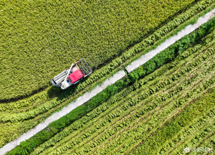 2024中国丰收图景 2024中国丰收图景