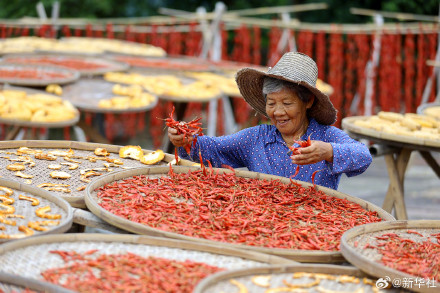 2024中国丰收图景 2024中国丰收图景