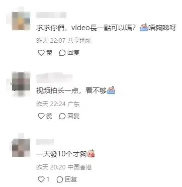 香港海洋公园开设账号，可“云养”熊猫宝宝