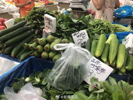 2根黄瓜一个月身价翻倍!再等等,9月中旬菜价有望下降 2根黄瓜一个月身价翻倍!再等等,9月中旬菜价有望下降