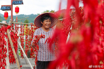 2024中国丰收图景 2024中国丰收图景