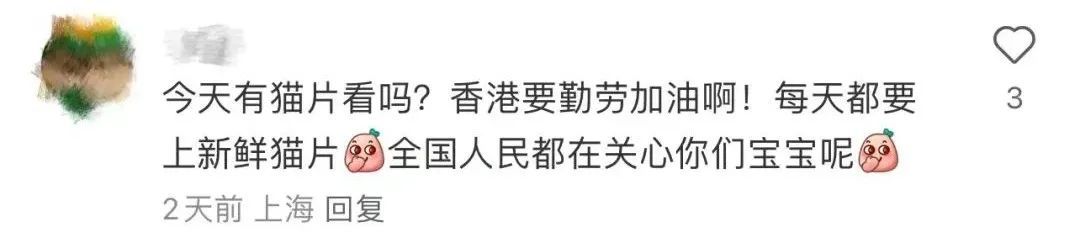香港海洋公园开设账号，可“云养”熊猫宝宝