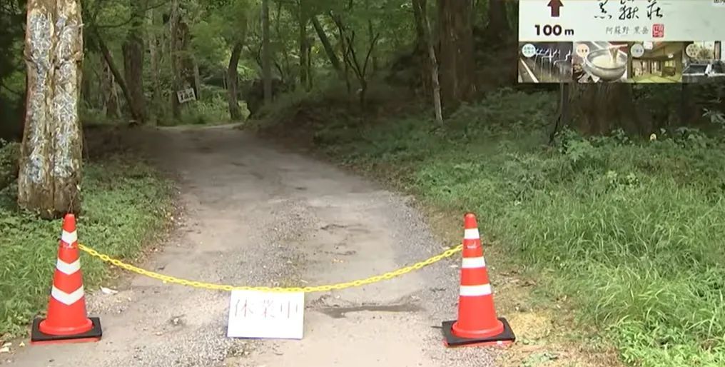 突发！日本超500人中毒