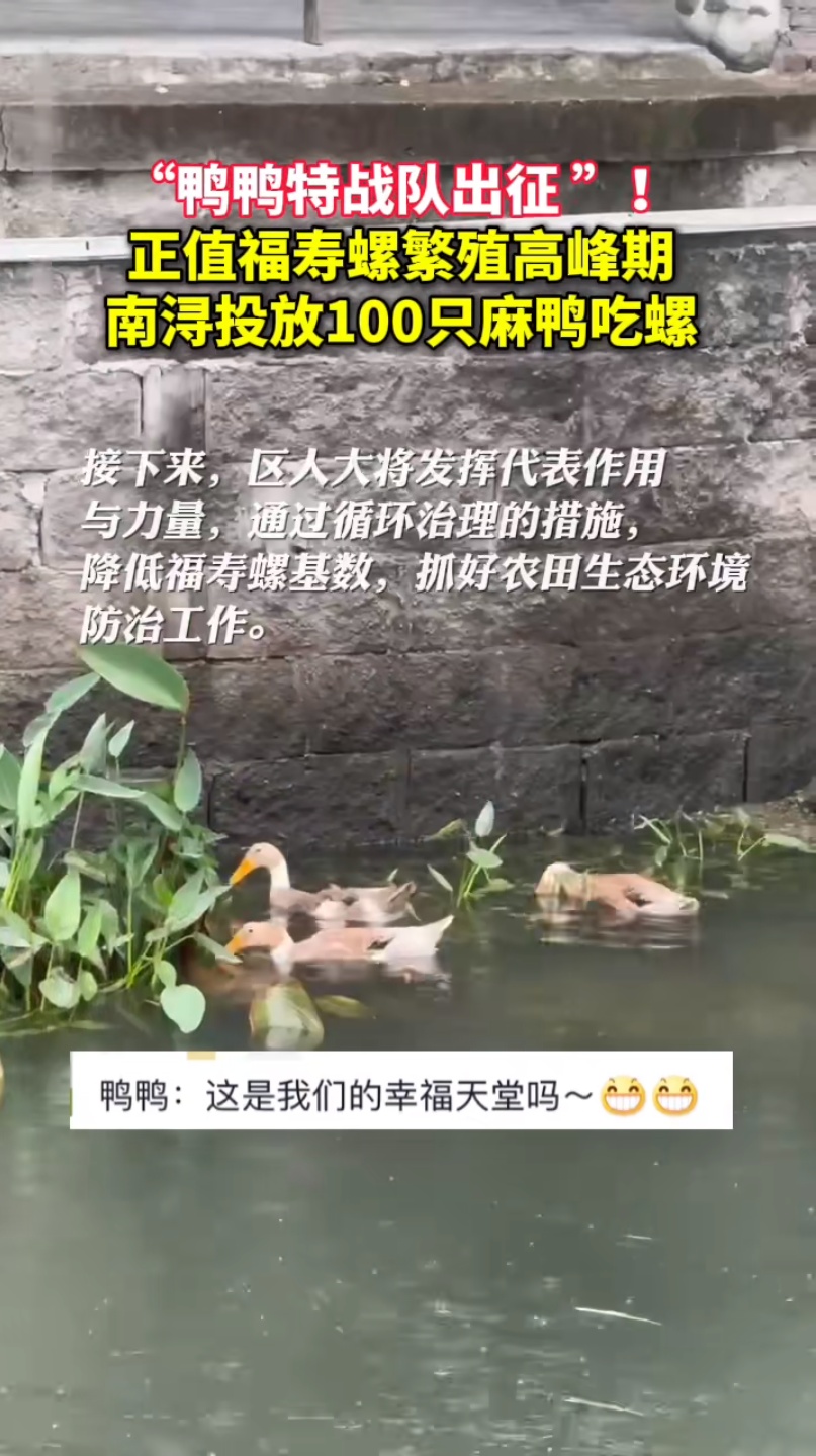 “嘎嘎嘎,立大功!” “嘎嘎嘎,立大功!”