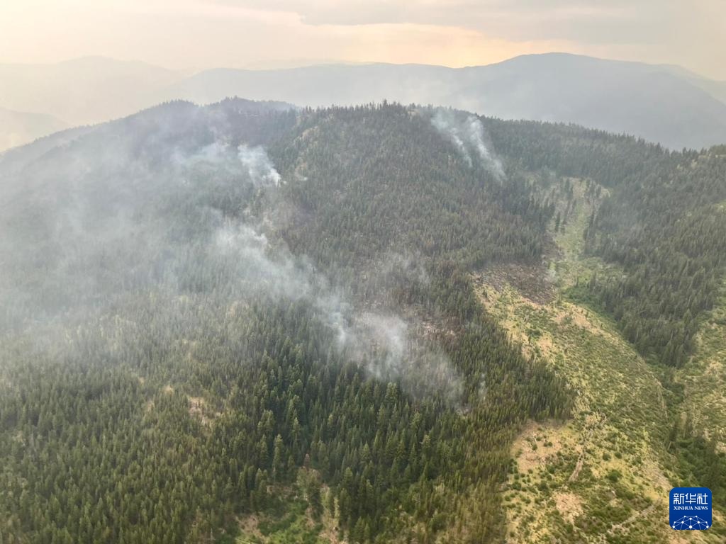 加拿大不列颠哥伦比亚省野火持续 加拿大不列颠哥伦比亚省野火持续