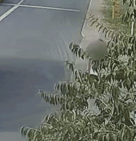 女体育老师一路将行窃男子追进河里,还是警察给救上来的 女体育老师一路将行窃男子追进河里,还是警察给救上来的