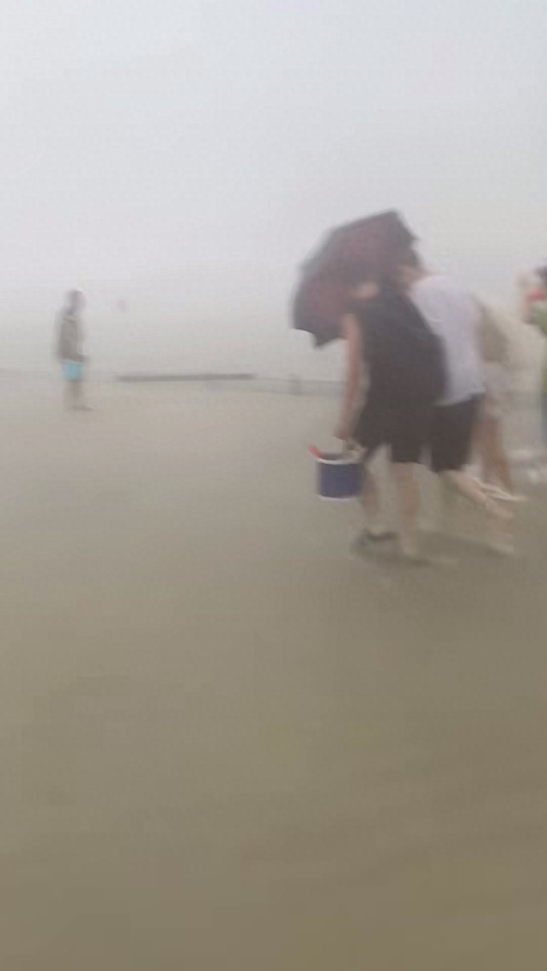 多人赶海疑遭雷击？应急管理局回应