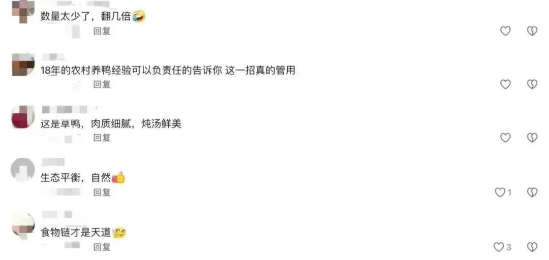 “嘎嘎嘎,立大功!” “嘎嘎嘎,立大功!”