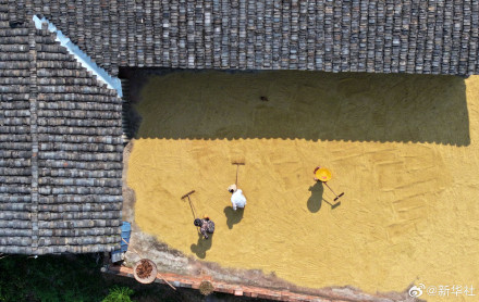 2024中国丰收图景 2024中国丰收图景