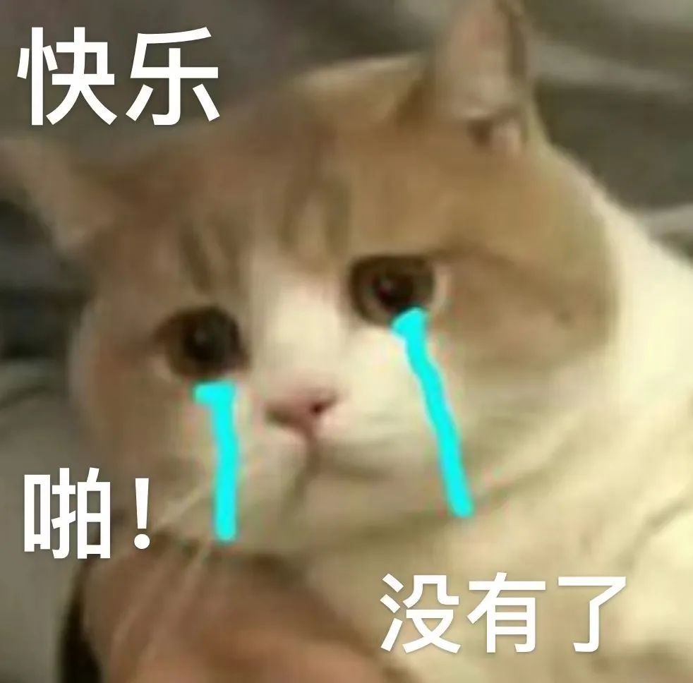 免费领养的猫走失,却被要求继续买猫粮? 免费领养的猫走失,却被要求继续买猫粮?