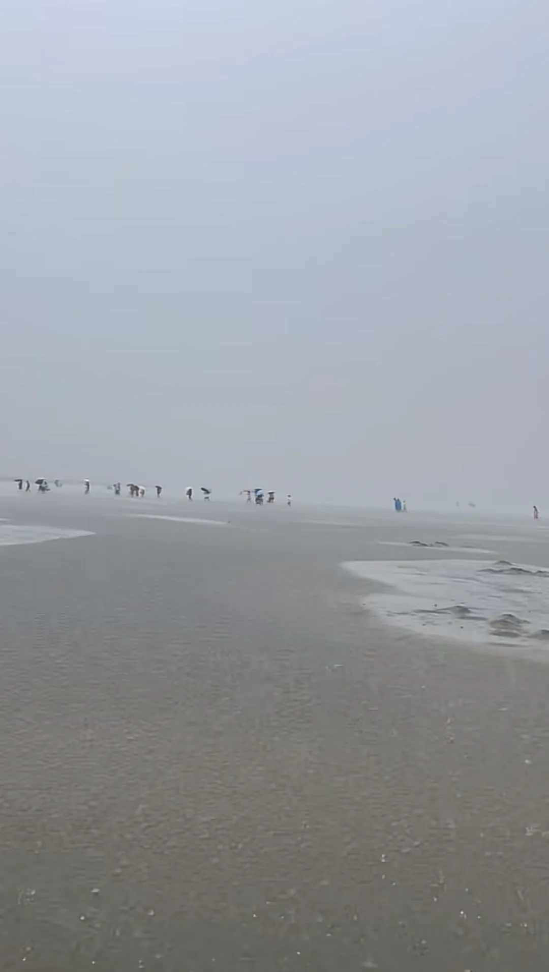 多人赶海疑遭雷击？应急管理局回应