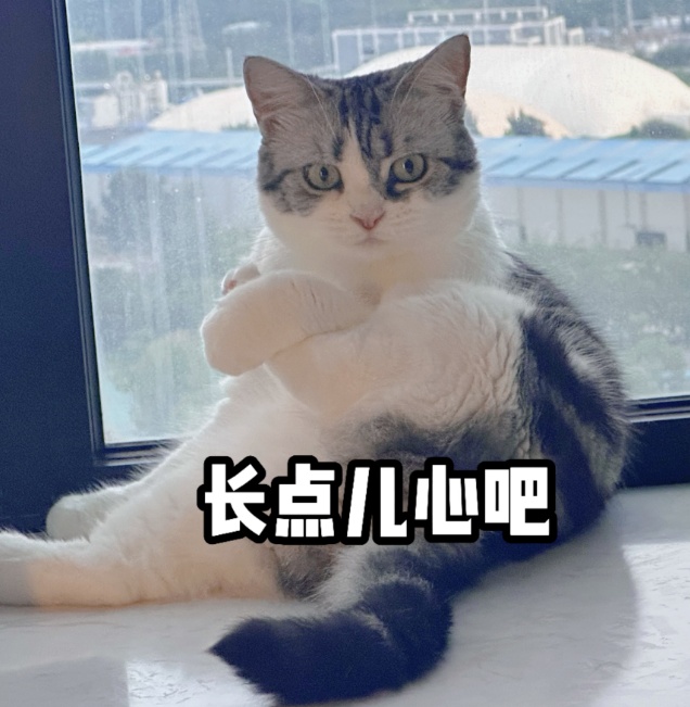 宠物“免费领养”投诉多！消委会提醒→