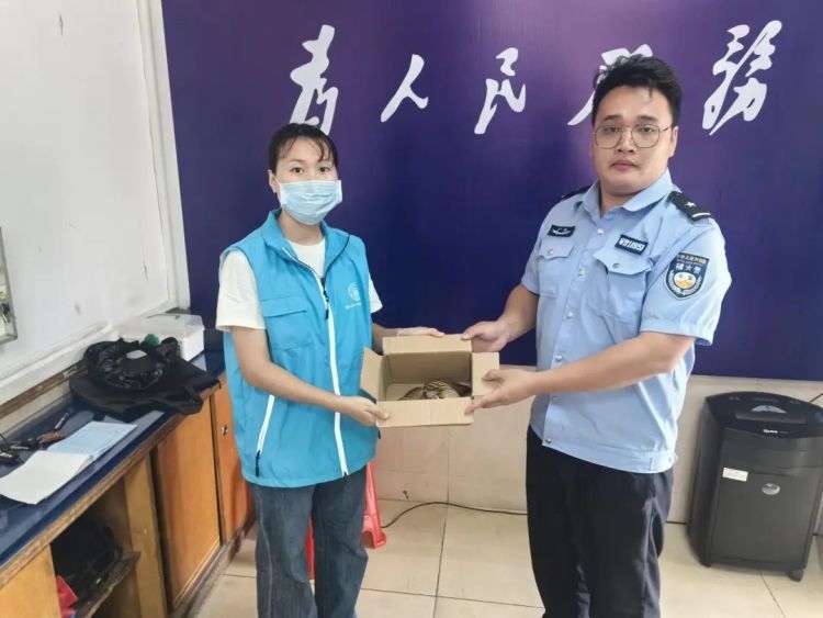 佛山九江街头惊现怪鸟，一见人就大变身！竟有点像“尖叫鸡”……