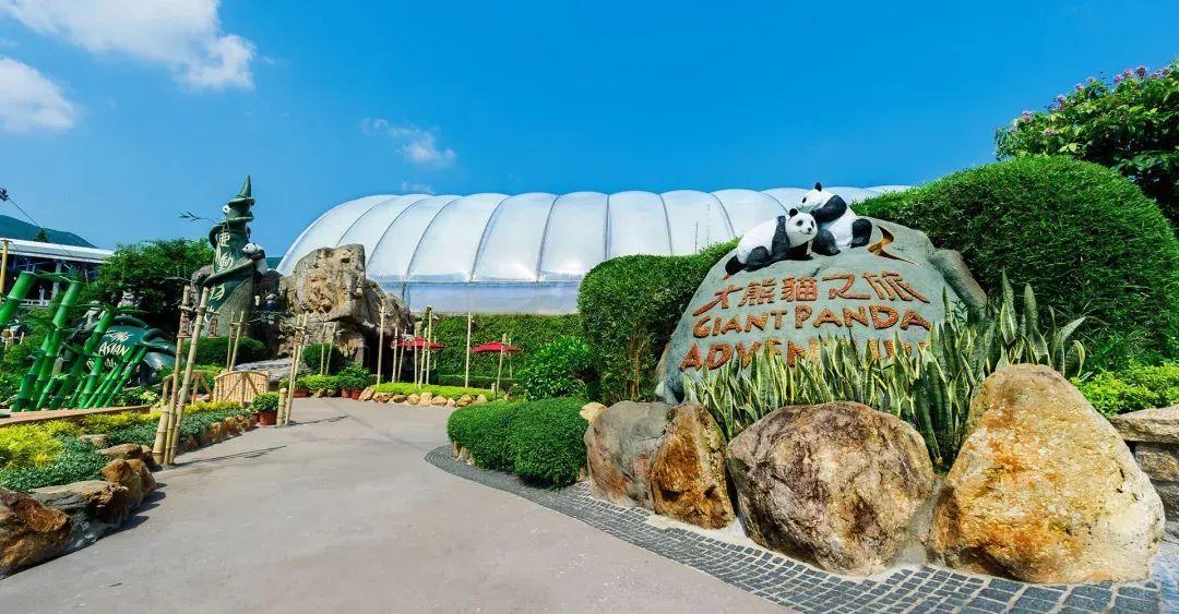 香港海洋公园开设账号，可“云养”熊猫宝宝