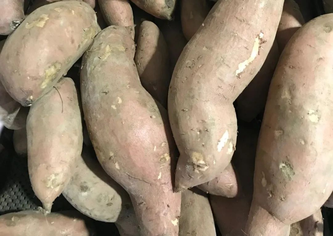 这种“神奇碳水”竟能缓解脂肪肝、帮助减肥?这些食物要多吃点! 这种“神奇碳水”竟能缓解脂肪肝、帮助减肥?这些食物要多吃点!