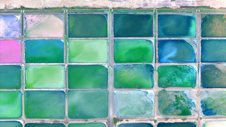 被初秋五彩盐田惊艳到了，美得像调色盘