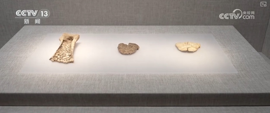 文物“活”起来，于细微中触摸历史脉搏 感悟华夏文明