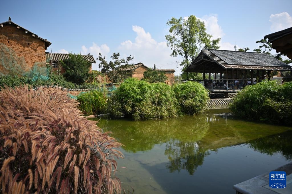 高质量发展调研行丨卧龙古渔村:古村焕新生 高质量发展调研行丨卧龙古渔村:古村焕新生