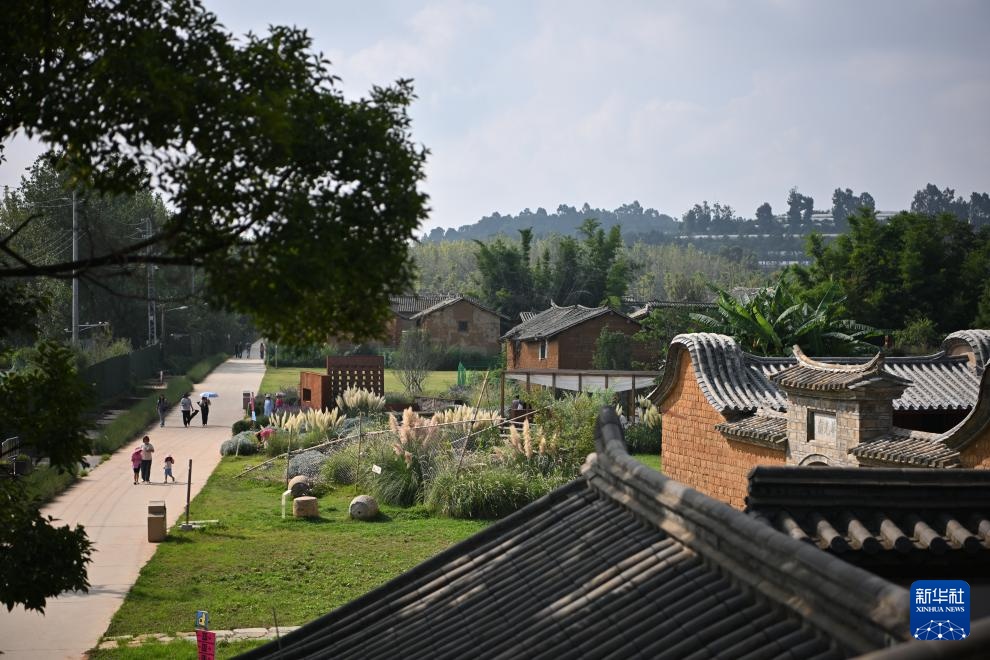 高质量发展调研行丨卧龙古渔村:古村焕新生 高质量发展调研行丨卧龙古渔村:古村焕新生