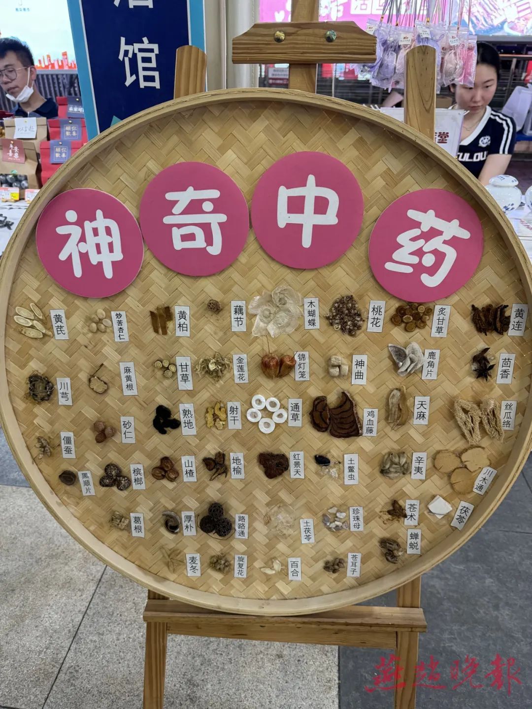 越来越多的年轻人开始关注“中式养生方式” 越来越多的年轻人开始关注“中式养生方式”