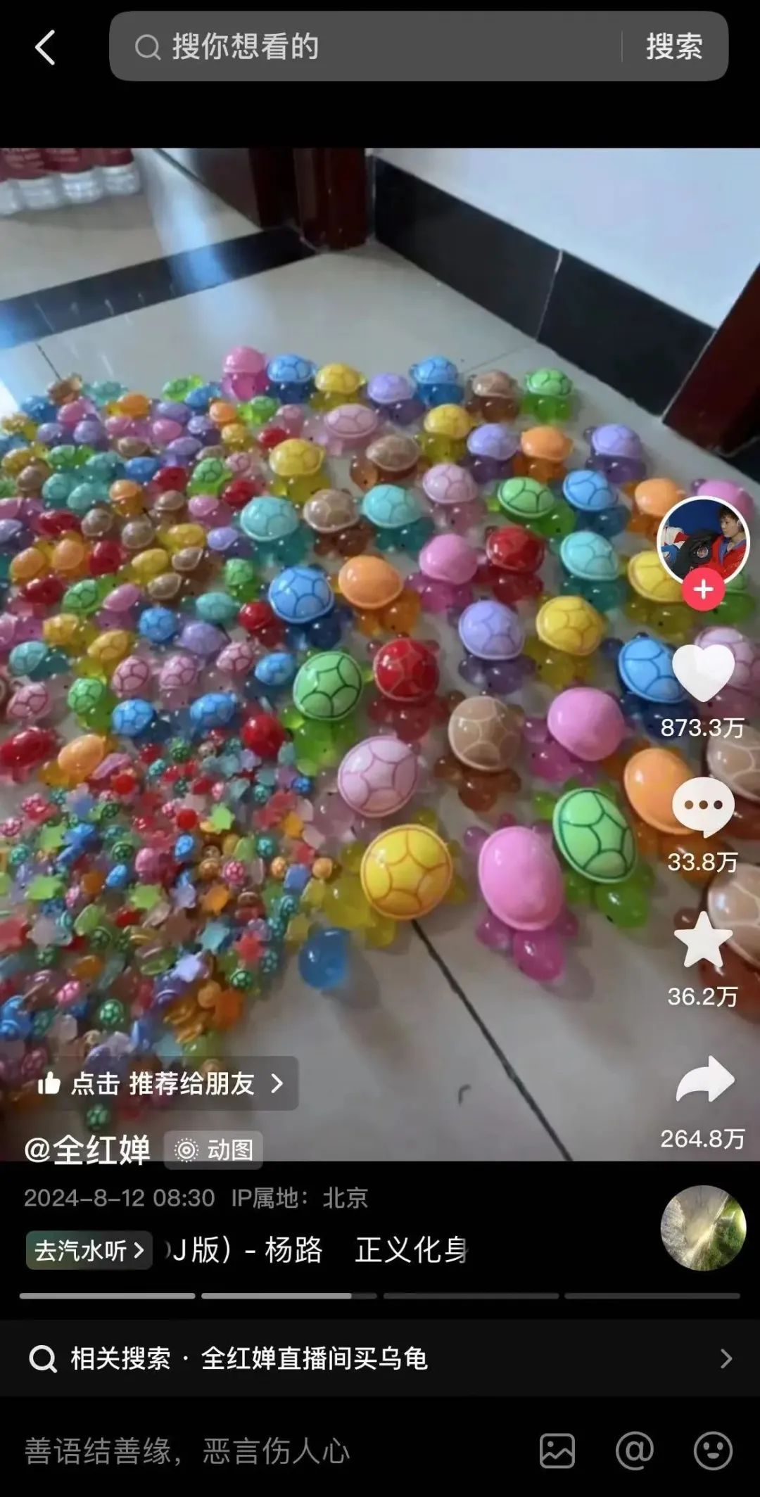 全红婵的乌龟火了！奥运冠军同款有什么魔力？