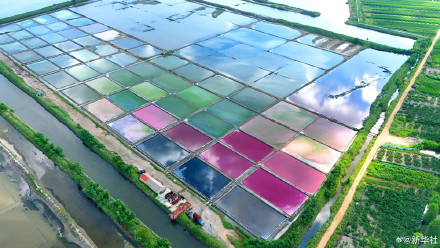 被初秋五彩盐田惊艳到了，美得像调色盘