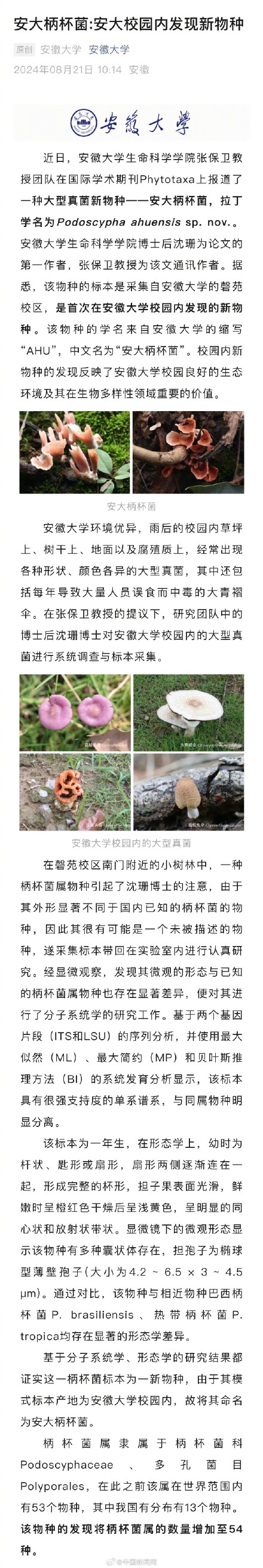 安徽大学校园内发现全球新物种