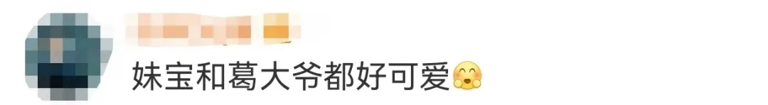 全红婵晒合影，和葛优同框“葛优躺”，网友：太逗了