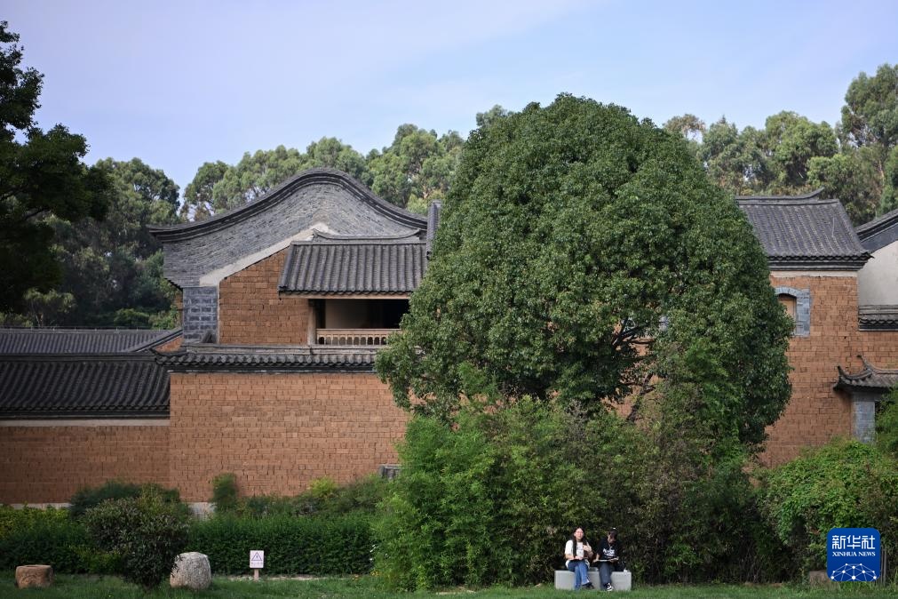 高质量发展调研行丨卧龙古渔村:古村焕新生 高质量发展调研行丨卧龙古渔村:古村焕新生