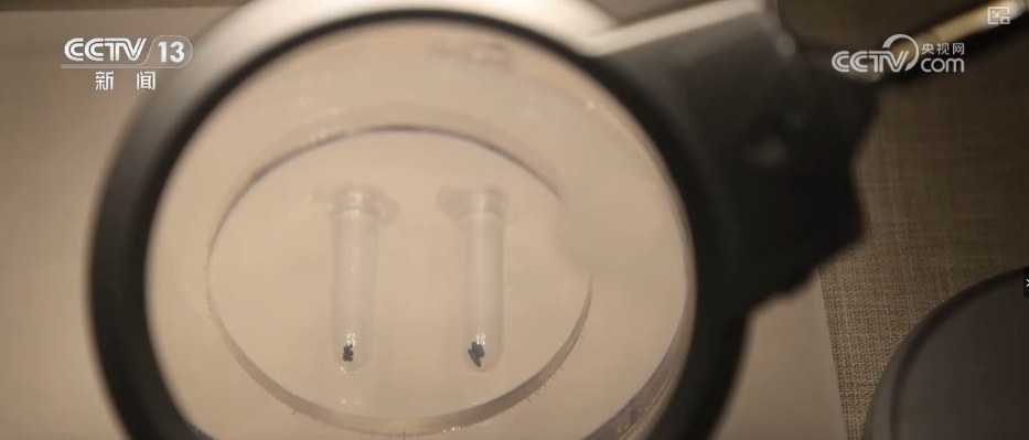 文物“活”起来，于细微中触摸历史脉搏 感悟华夏文明