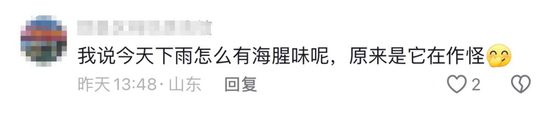 震撼！青岛海面出现罕见一幕，“龙王来进货了”？现场画面→