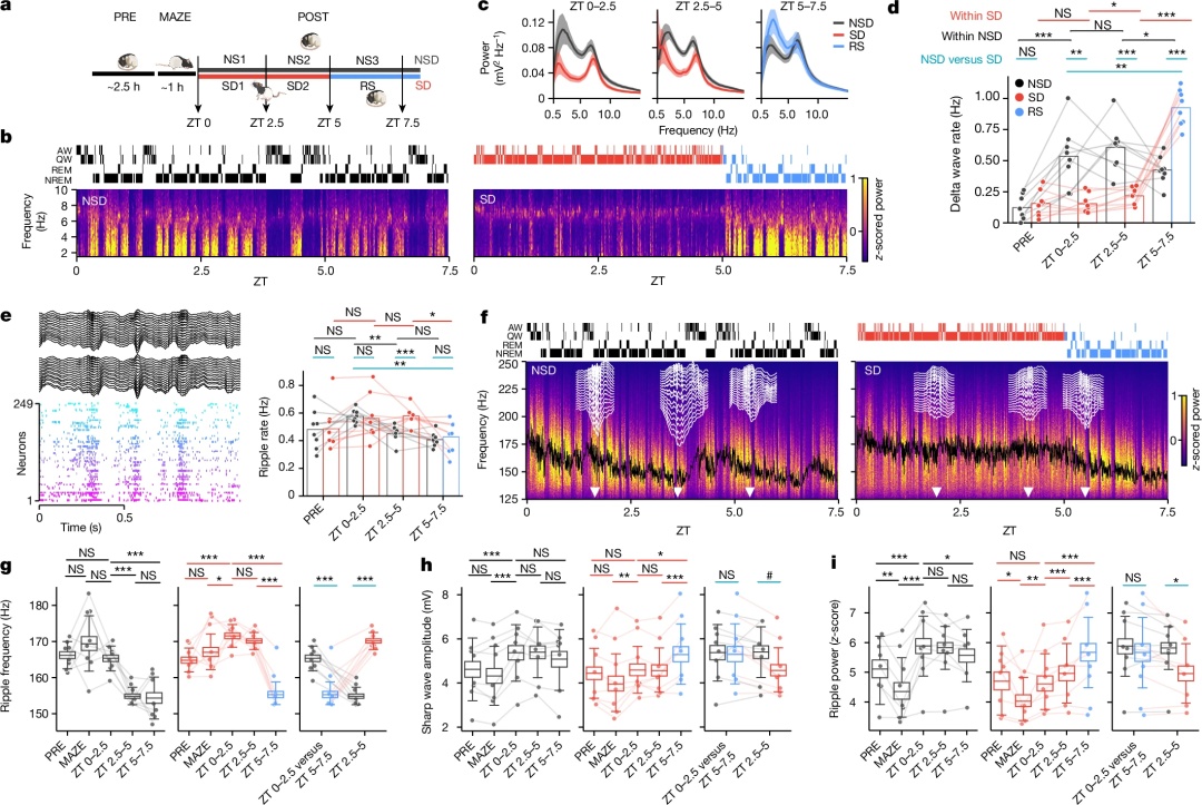 Nature 发文证实:做梦真的可以预测未来? Nature 发文证实:做梦真的可以预测未来?