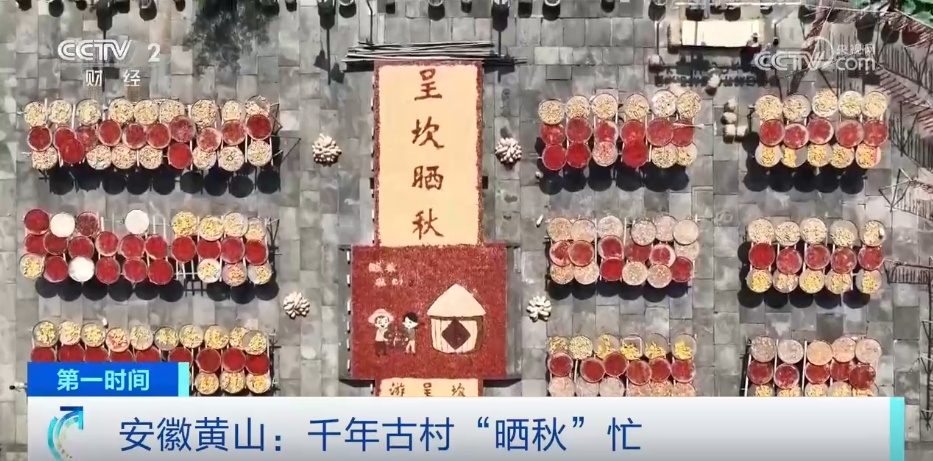 多地“硕果累累”绘就和美乡村好“丰”景 端牢“中国饭碗”底气足 多地“硕果累累”绘就和美乡村好“丰”景 端牢“中国饭碗”底气足