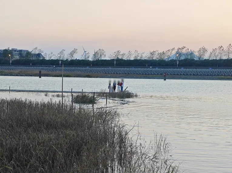 “一回头，路已经消失不见”！上海5名游客不顾劝阻下岸拍照，遇涨潮被困滩涂