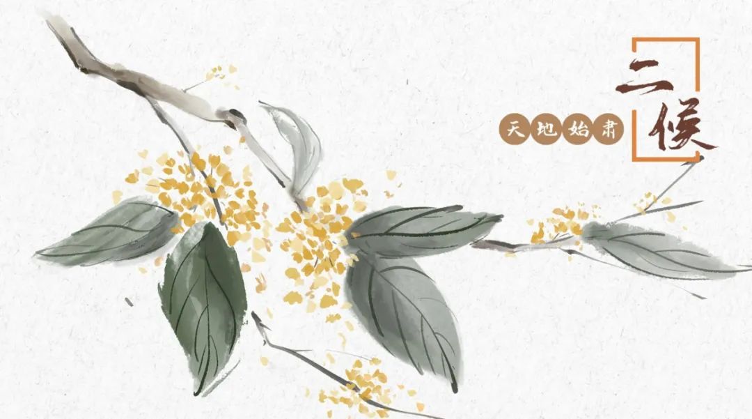 二十四节气之处暑：暑云散尽，秋韵渐盛