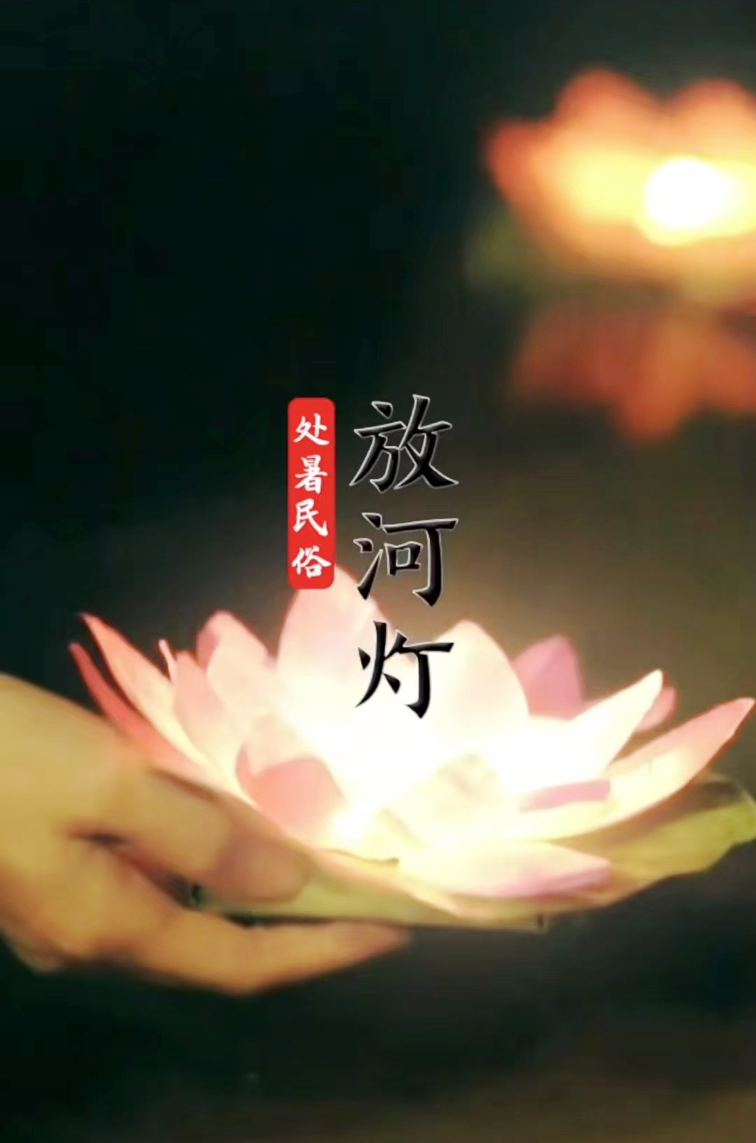 今日处暑 | 清风解暑意，万物入清秋