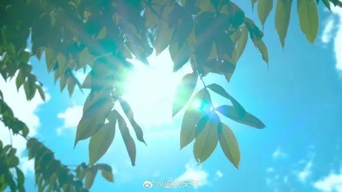 重庆最新预报！今起三天：42℃！42℃！42℃！最高43℃