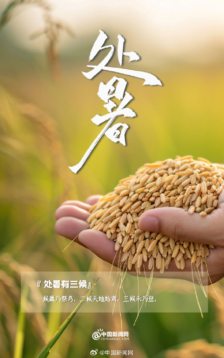 处暑时节跟夏天说再见