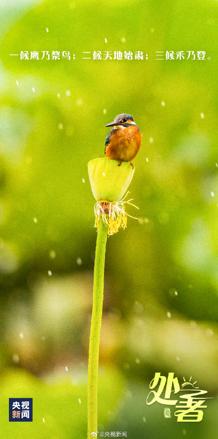 今日22时55分处暑 你感受到秋意了吗？
