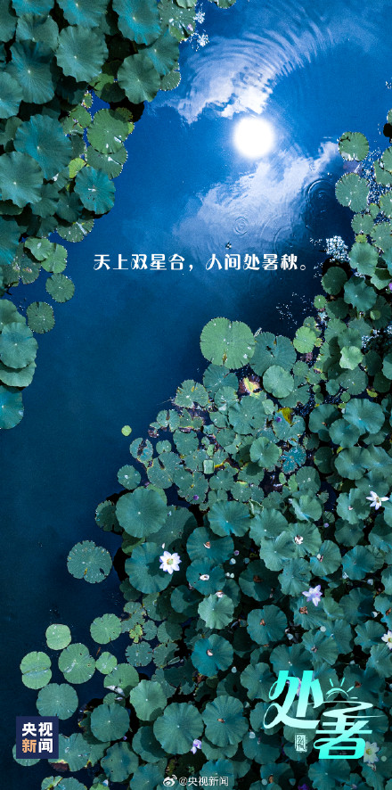 今日22时55分处暑 你感受到秋意了吗？