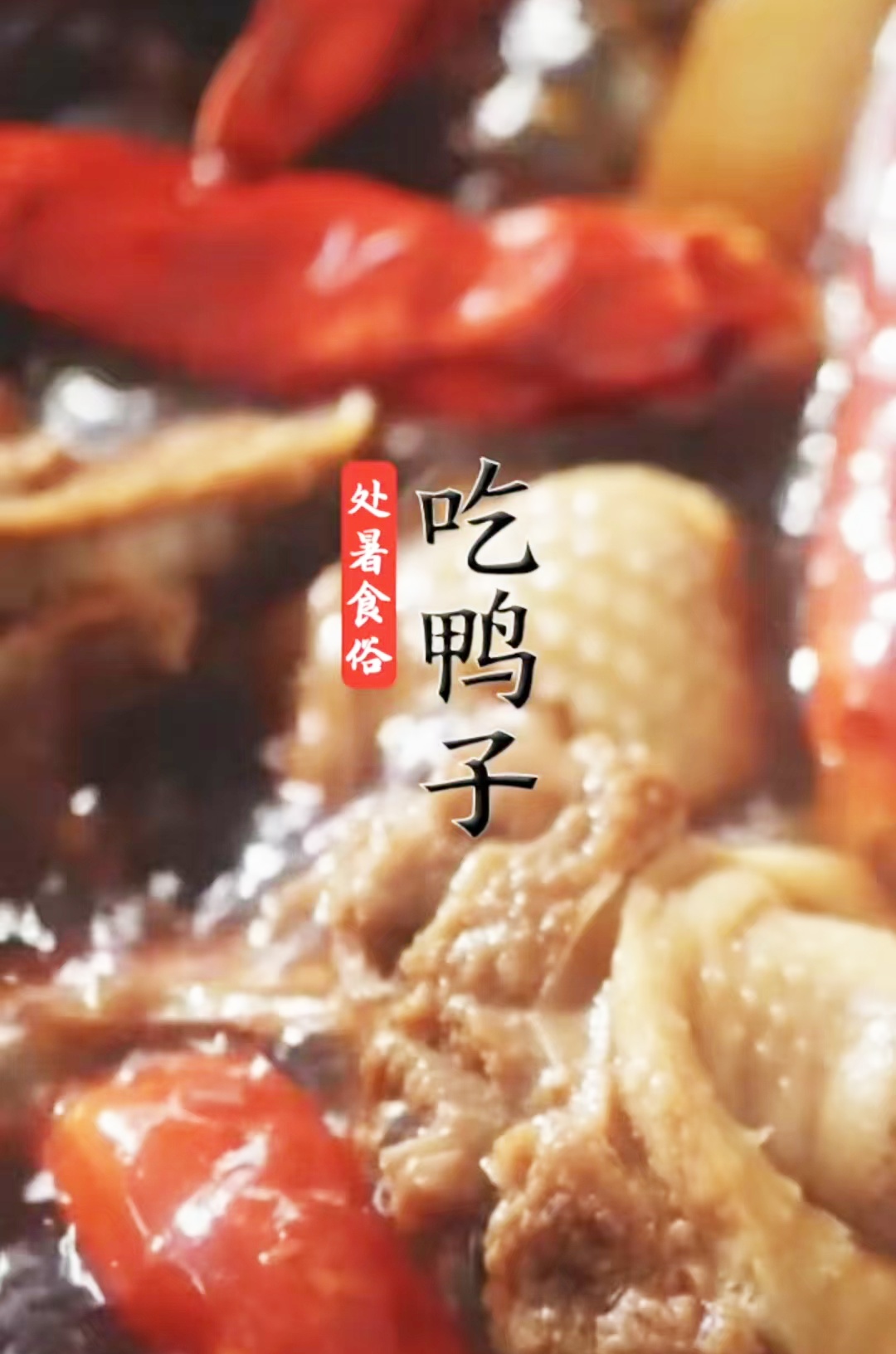 今日处暑 | 清风解暑意，万物入清秋