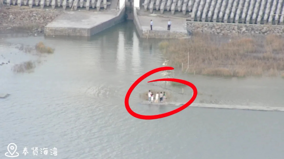“一回头，路已经消失不见”！上海5名游客不顾劝阻下岸拍照，遇涨潮被困滩涂